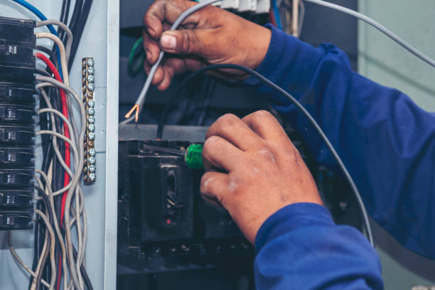 Best Electric Panel Repair  in Montegut, LA